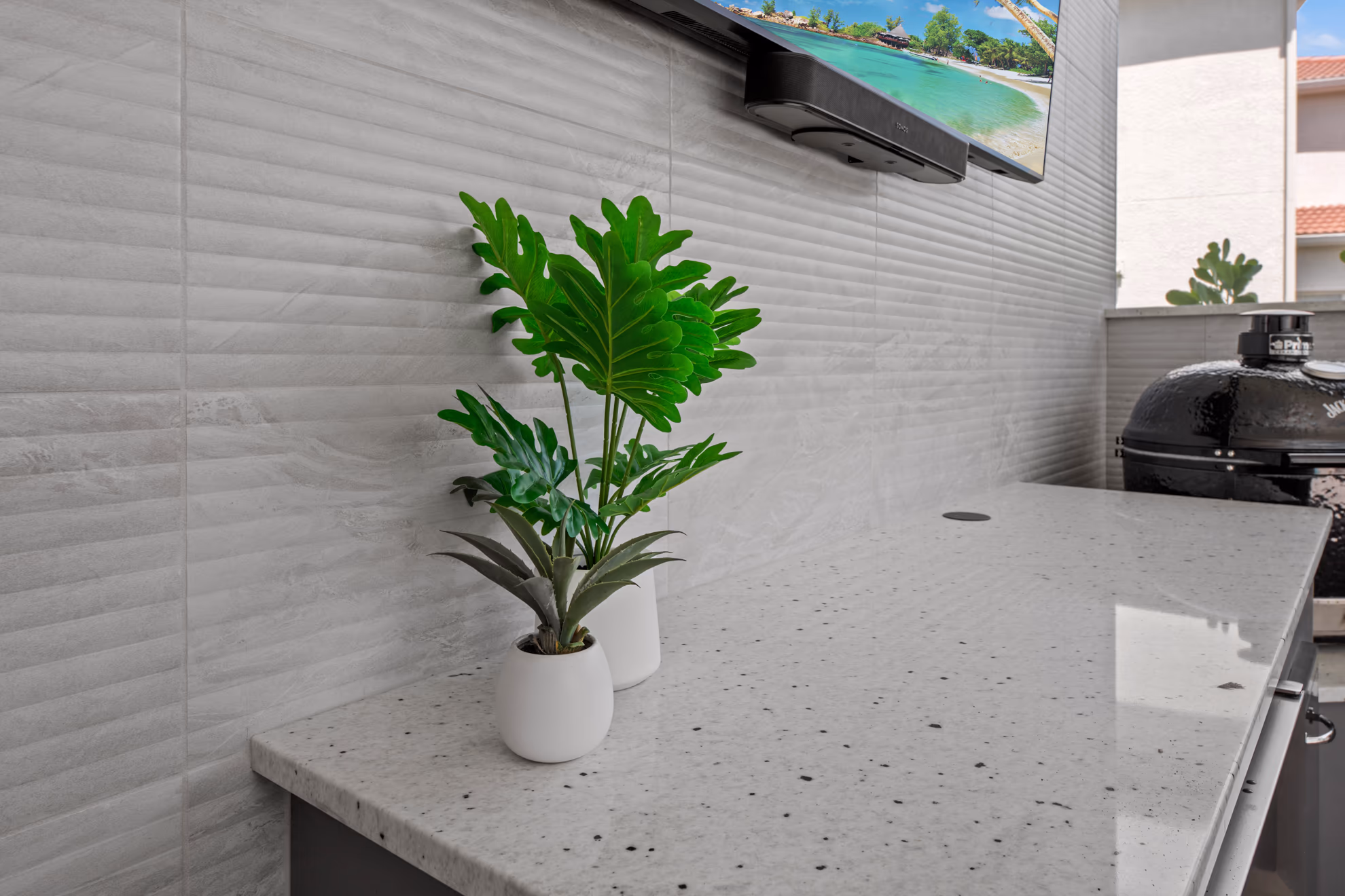 Close-up of two small potted plants on a speckled quartz counter beneath a wall-mounted TV